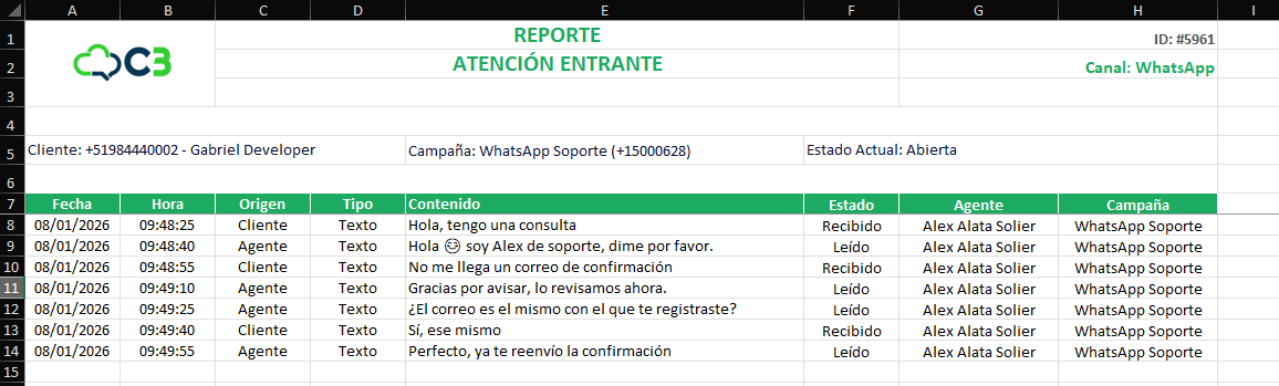 Ejemplo de archivo Excel exportado con los datos de una atención.