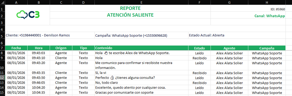 Ejemplo de archivo Excel exportado con los datos de una atención.